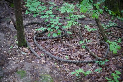 Cable from a bygone era lays on the side of a trail.