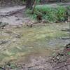 While it may be a simple rock hop on normal days, after a rainstorm, the creek crossing can be tricky.