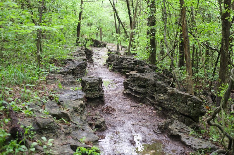 The trail works its way through his interesting rock formation.