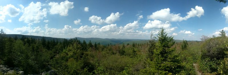 Near the top of Boar's Nest Trail.