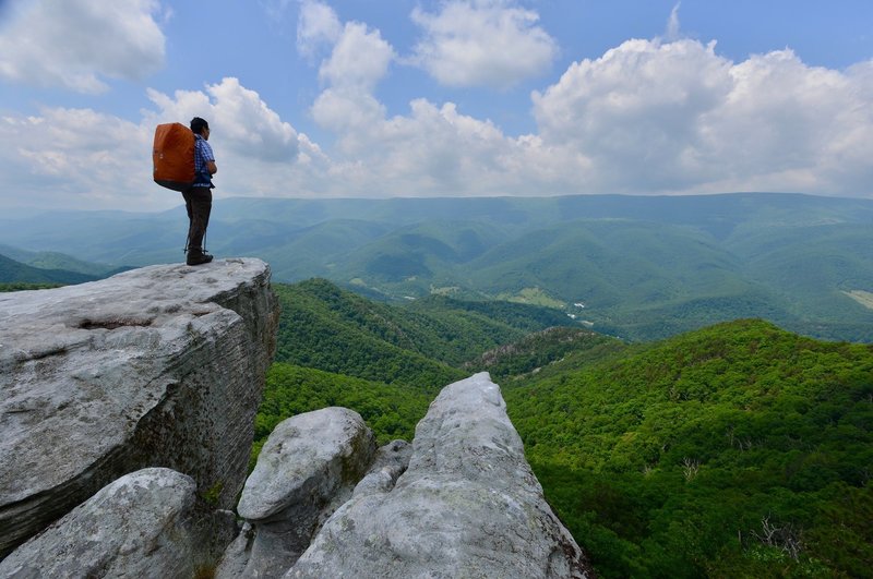 One of many beautiful views off of North Fork Mountain Trail, West Virginia.