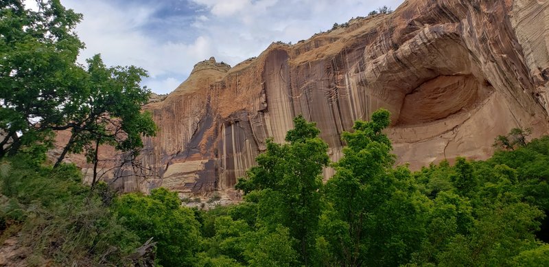 Lower Calf Creek Falls Trail