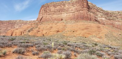 Reflection Canyon Trail