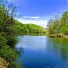 View from boat launch of Daniels Area during the spring bloom.