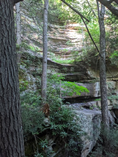 Along the climb up from the Rockcastle River.