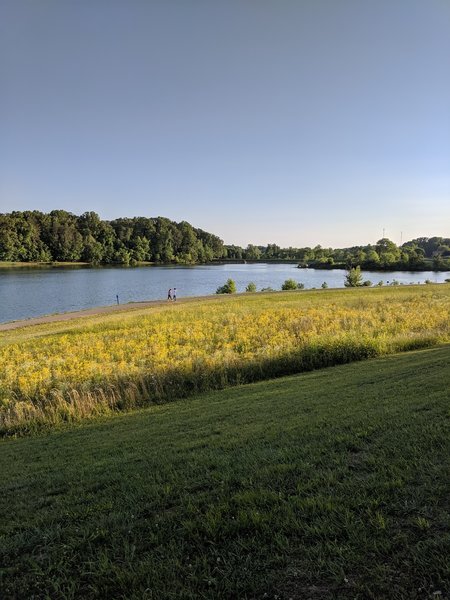 Overlooking the lake and meadow.