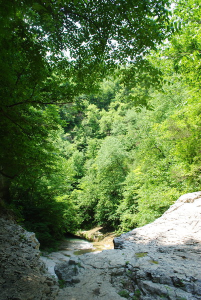 View from above the small waterfall