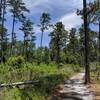 CCC Loop Trail