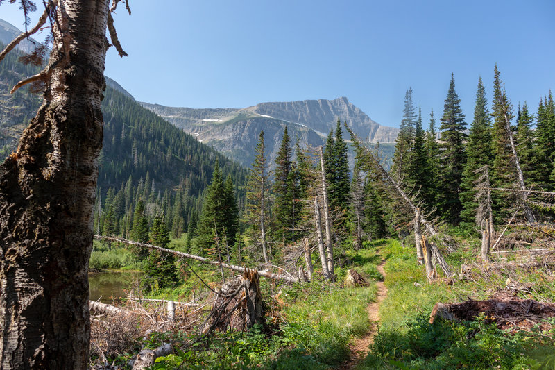 Razoredge Mountain from the Medicine Grizzly Trail