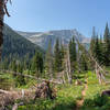 Razoredge Mountain from the Medicine Grizzly Trail