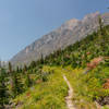 Ascent to Triple Divide Pass along the southern flank of Mount James.