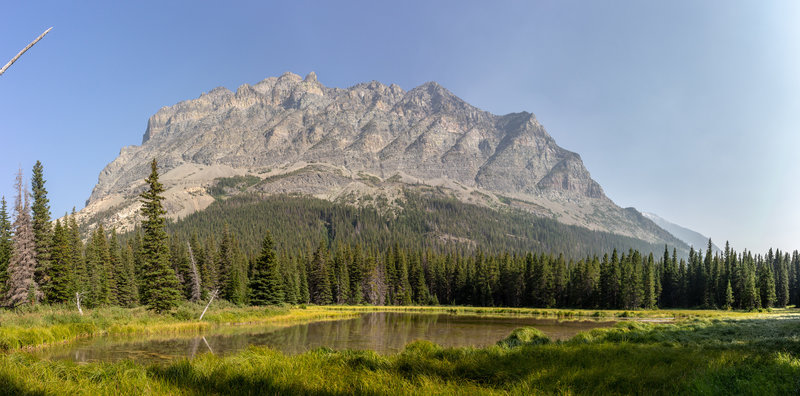 Bad Marriage Mountain and the North Fork Cut Bank Creek gently flowing through a meadow.