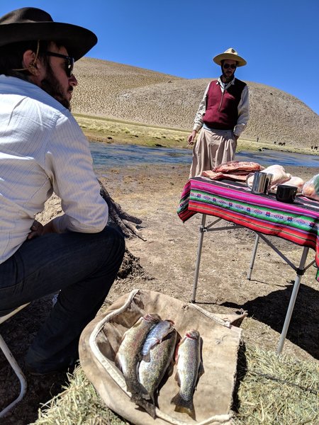 Trout ready to be consumed - Rio Los Patos, La Puna, Argentina