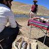 Trout ready to be consumed - Rio Los Patos, La Puna, Argentina