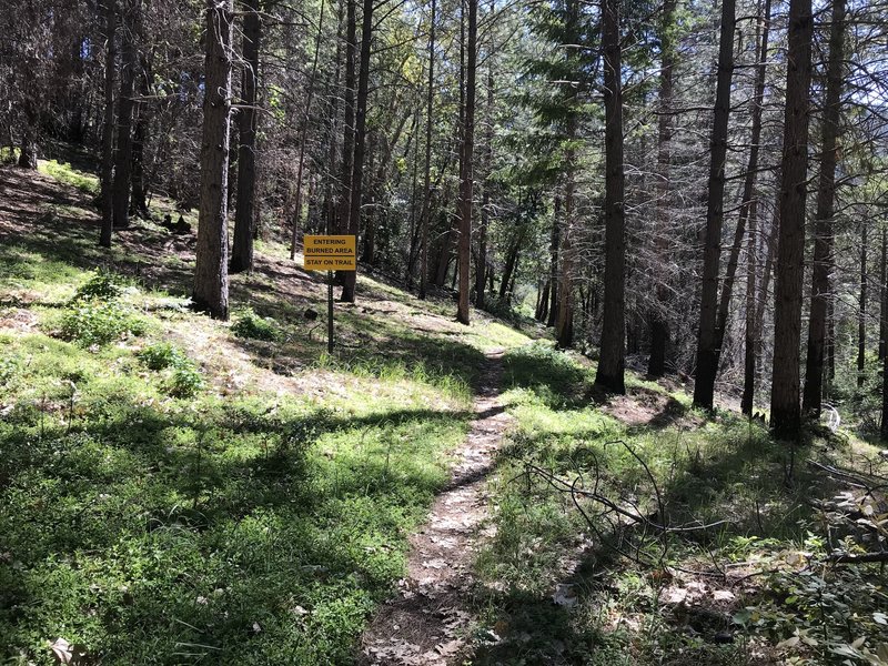 Start of the New River Trail in western Trinity Alps Wilderness
