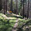 Start of the New River Trail in western Trinity Alps Wilderness