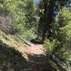 New River Trail in western Trinity Alps Wilderness