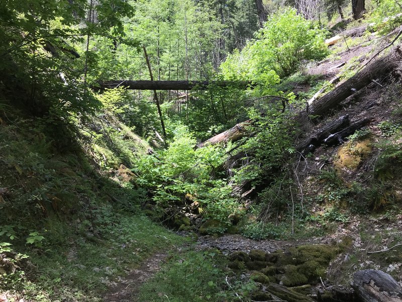 New River Trail in western Trinity Alps Wilderness