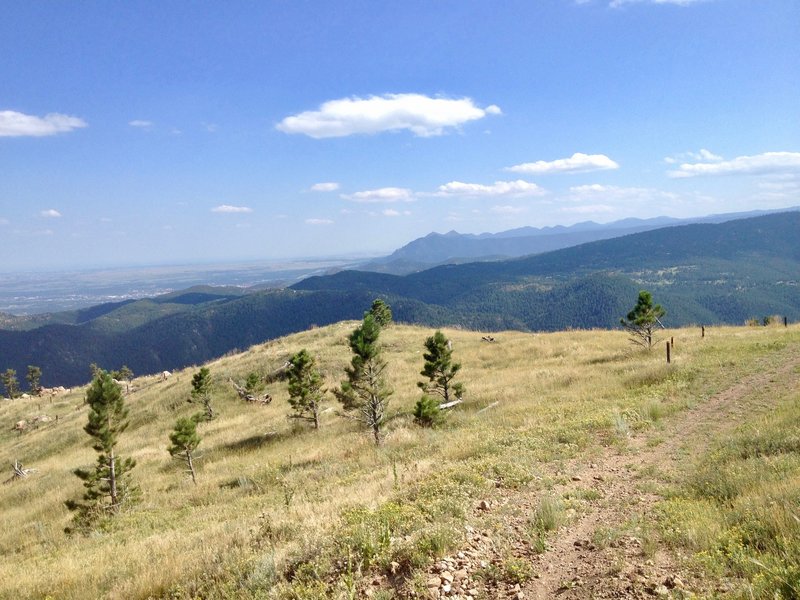 Near the top of the Lefthand Loop with a view of Boulder and her peaks.