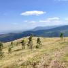 Near the top of the Lefthand Loop with a view of Boulder and her peaks.