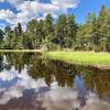 The larger of the two frog ponds.