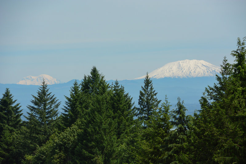 Good views all the way to Mt Rainier when you first enter the power line right of way.