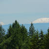 Good views all the way to Mt Rainier when you first enter the power line right of way.