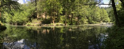 Virgin Creek above New River