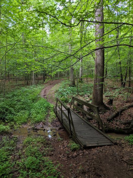 Stream crossing between the Civil War camp archaeology site and the Civil War hut reconstruction.