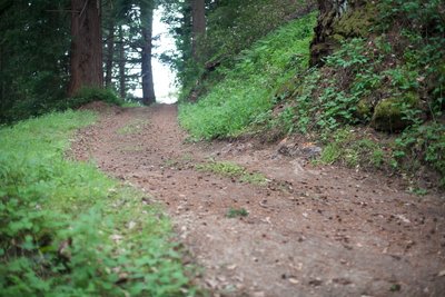 You can see how steep portions of the Alma Trail are as it climbs toward the intersection with the Redwood Springs Trail.