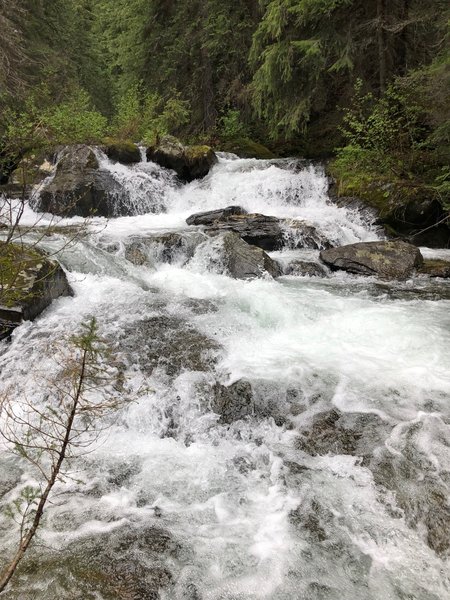 Falls on South Fork Trout Creek