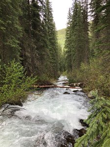 South Fork Trout Creek