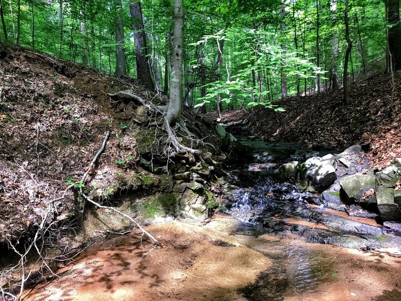 A gentle waterfall flows into a pool