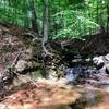 A gentle waterfall flows into a pool