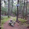 Mt. Ingalls' summit has more views than the way up.