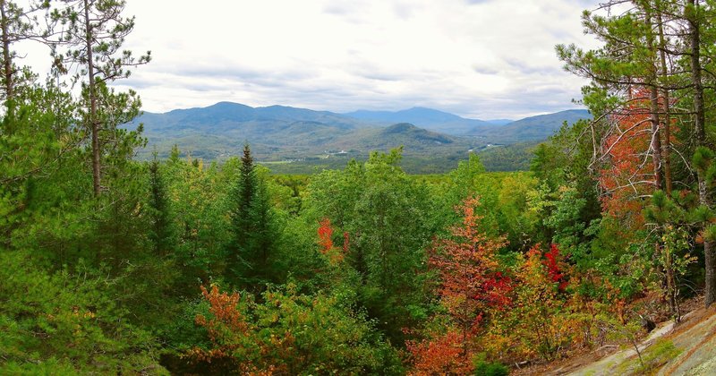 View from the summit of Mt. Cabot looking south-ish.