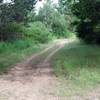 The trail turns to dirt at this point as it climbs higher into the preserve.