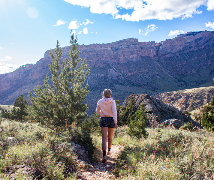 Looking to the northwest side of Shell Canyon from the end of the Shell Bench Trail.