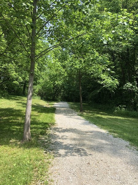 Heading up the sloping hill.