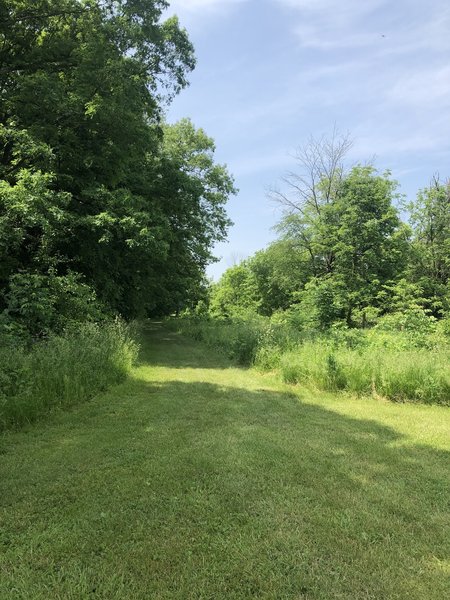 Intersection of three trails.