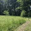 Beautiful grassy area surrounded by large oak trees.