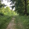 Walking along the wide grassy path.