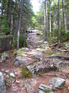 Slippery when wet! The final climb up to Gentian Pond looks like this.