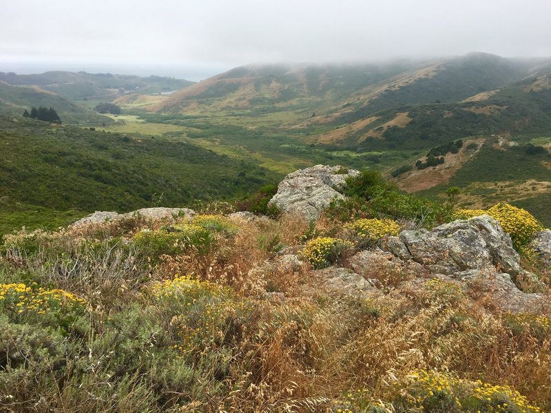 Looking down to the valley on the Bobcat Trail.