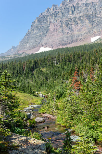 The small creek from Cobalt Lake.