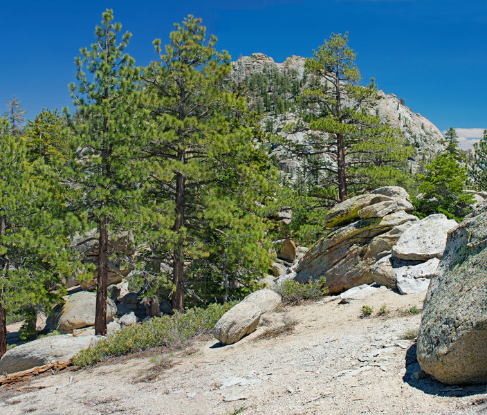 Taylor Dome from top of ridge between Big Meadow and Taylor Creek