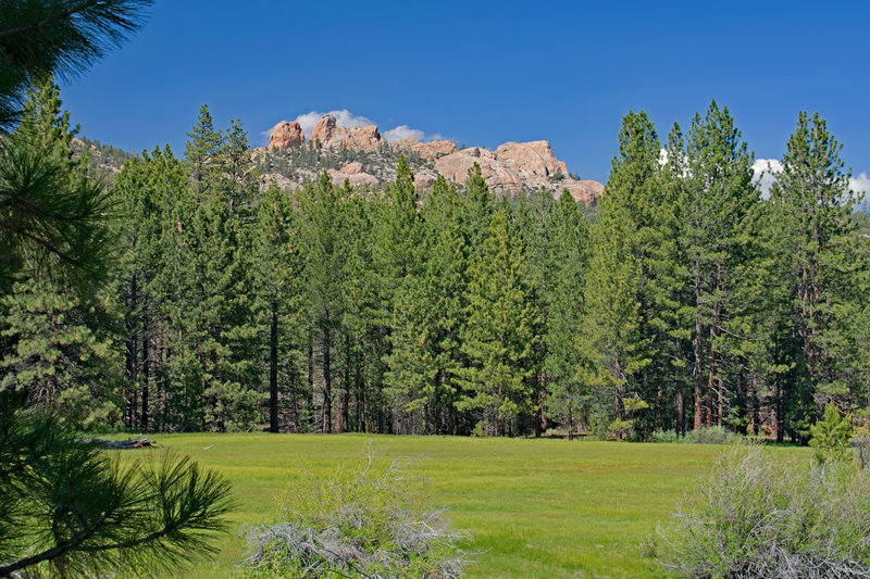 Taylor Meadow and Church Rock from south side of meadow.