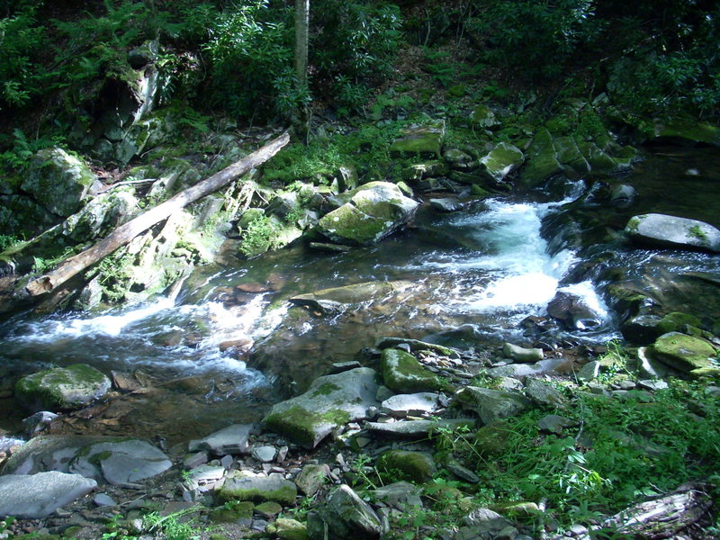 Seneca Creek campside.