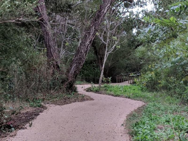 First Broad River Trail.