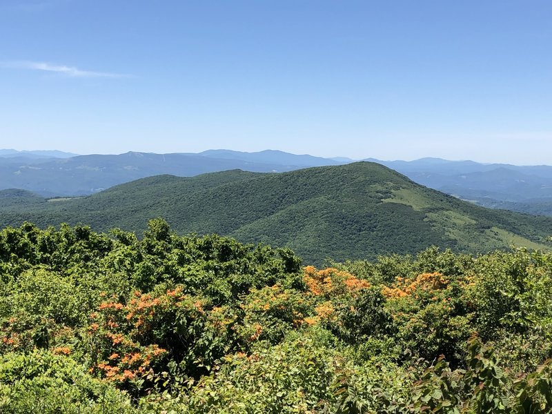 South view from summit of Elk Knob State Park Trail, June 2019.